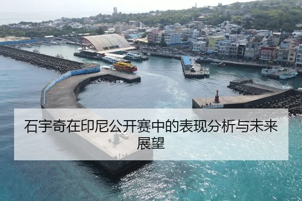 石宇奇在印尼公开赛中的表现分析与未来展望