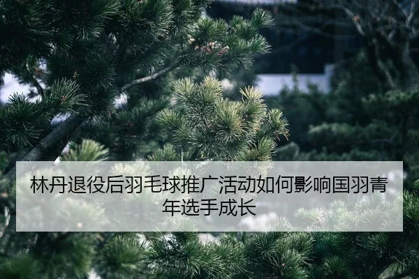 lin-dan-tui-yi-hou-yu-mao-qiu-tui-guang-huo-dong-ru-he-ying-xiang-guo-yu-qing-nian-xuan-shou-cheng-zhang-2-912.jpg