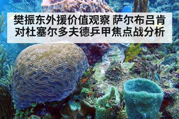 樊振东外援价值观察 萨尔布吕肯对杜塞尔多夫德乒甲焦点战分析